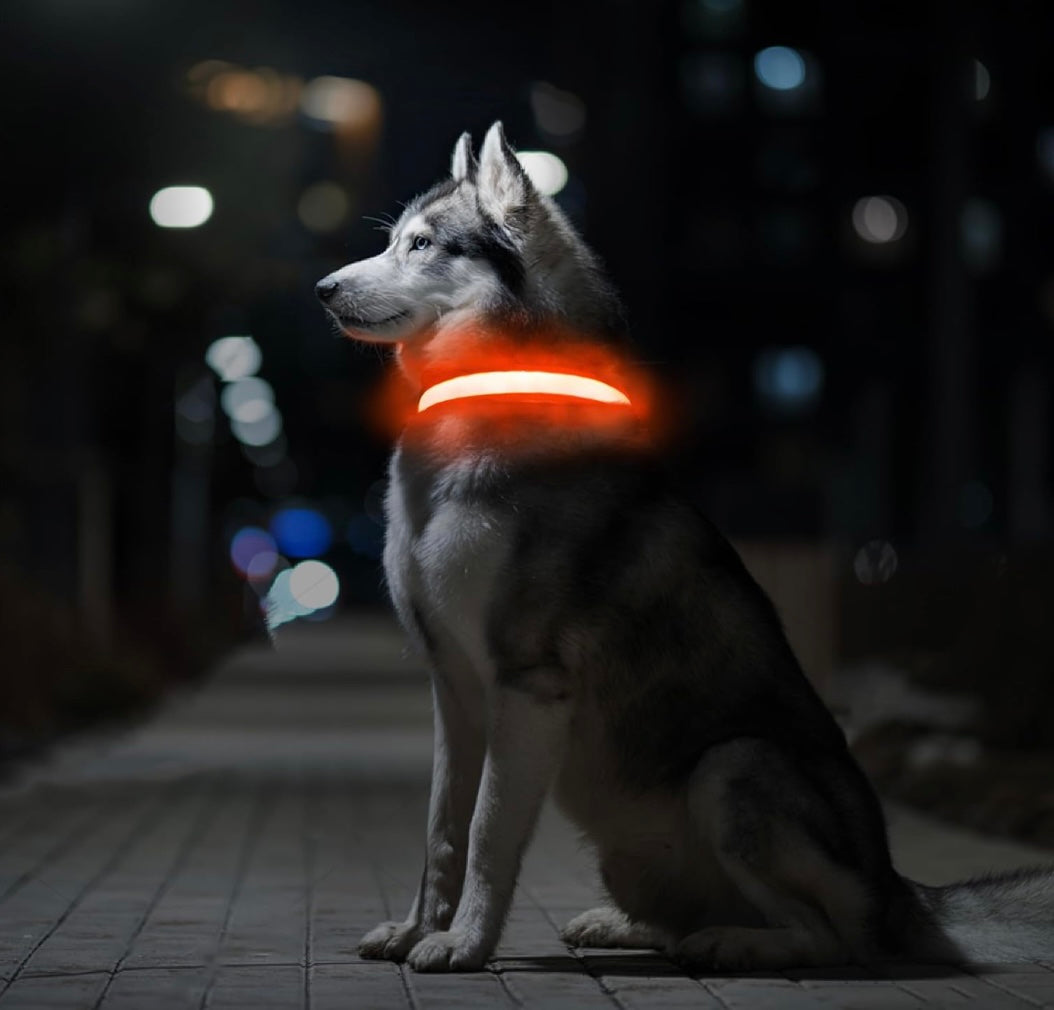 GlowPaw™ LED Safety Dog Collar