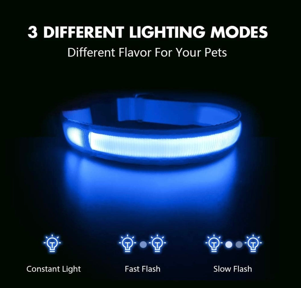 GlowPaw™ LED Safety Dog Collar