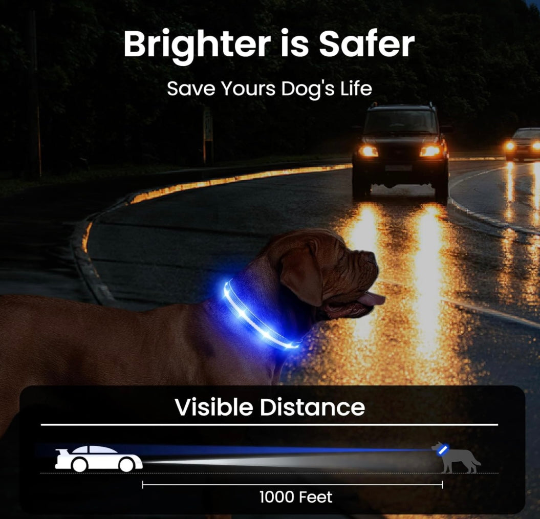 GlowPaw™ LED Safety Dog Collar